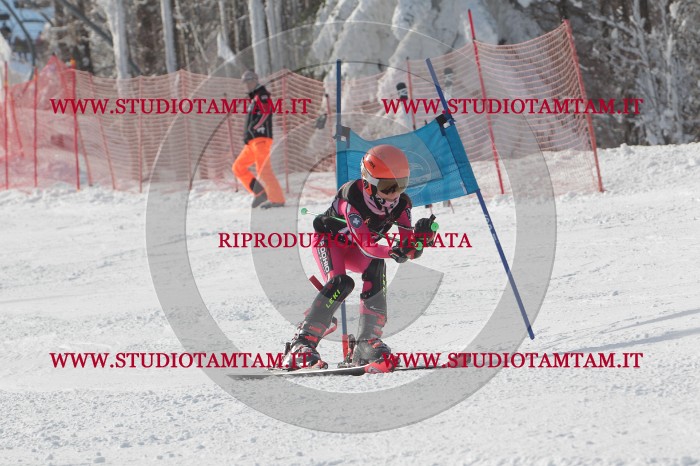 MAT_7168.JPG