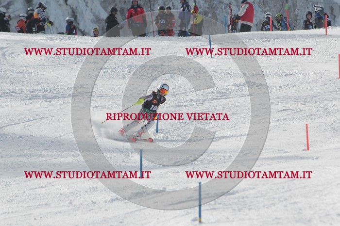 MAT_7172.JPG
