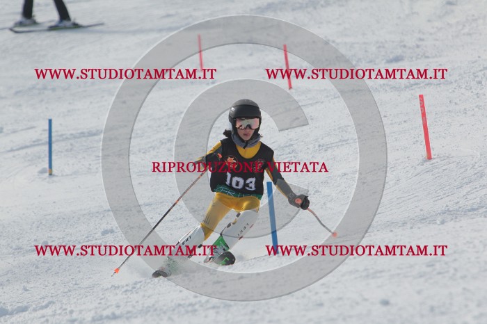 MAT_7196.JPG