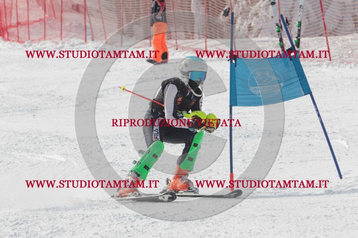MAT_7248.JPG