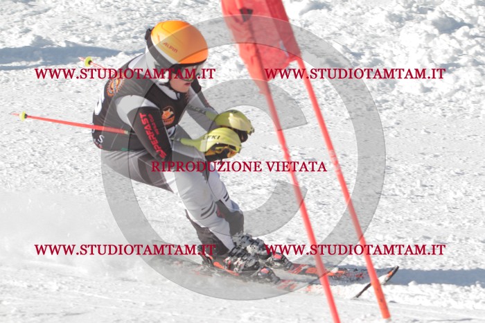 MAT_7490.JPG