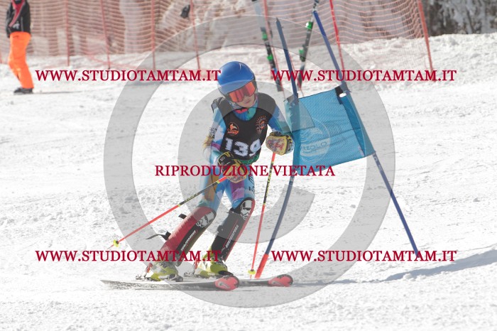 MAT_7528.JPG