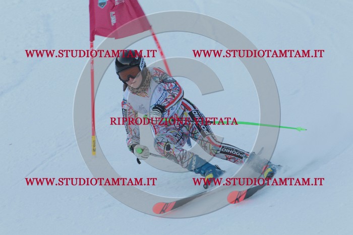 MAT_4943.JPG