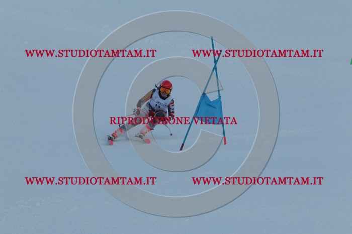 MAT_5079.JPG