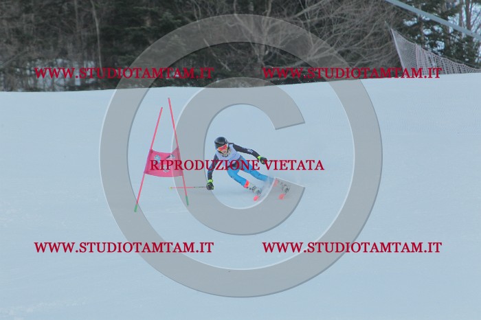 MAT_5117.JPG