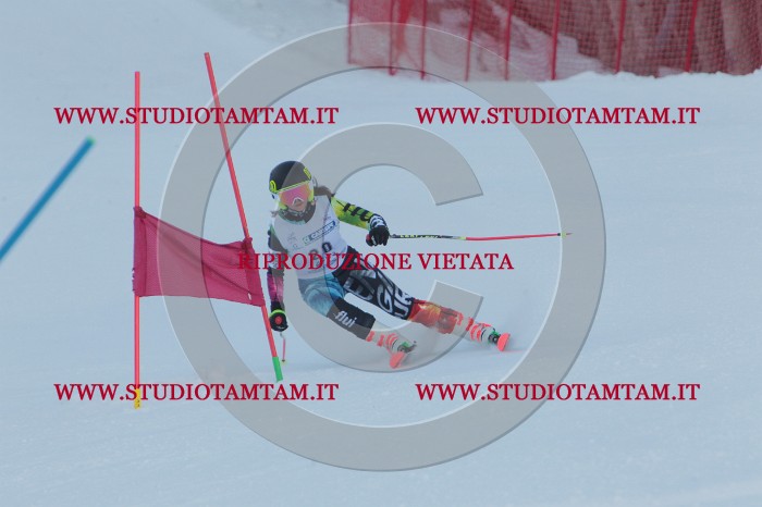 MAT_5164.JPG