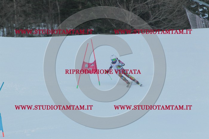 MAT_5174.JPG