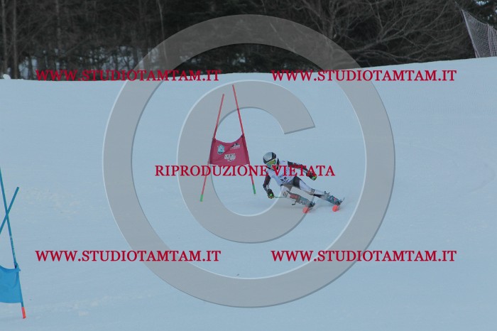MAT_5296.JPG