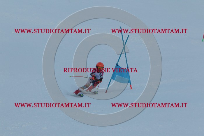 MAT_5338.JPG