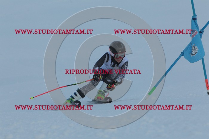 MAT_5396.JPG