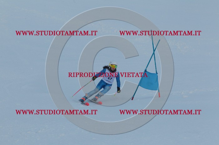 MAT_5592.JPG