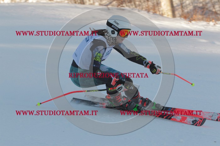 MAT_5610.JPG