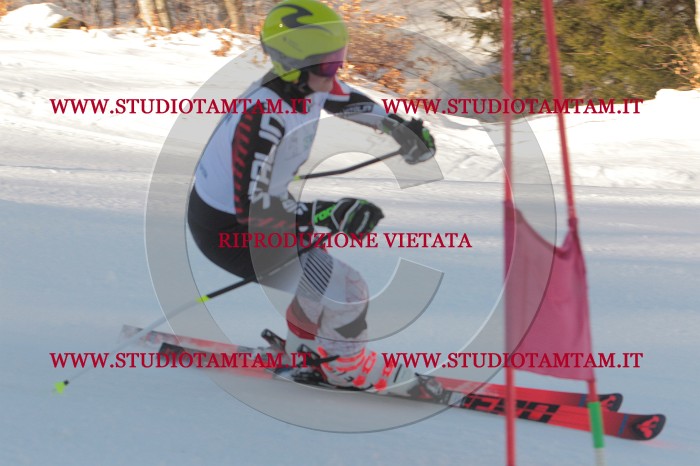 MAT_6029.JPG