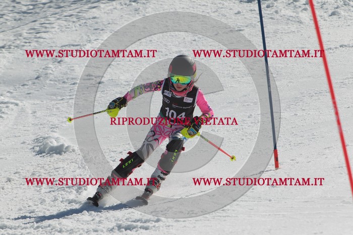 MAT_0408.JPG