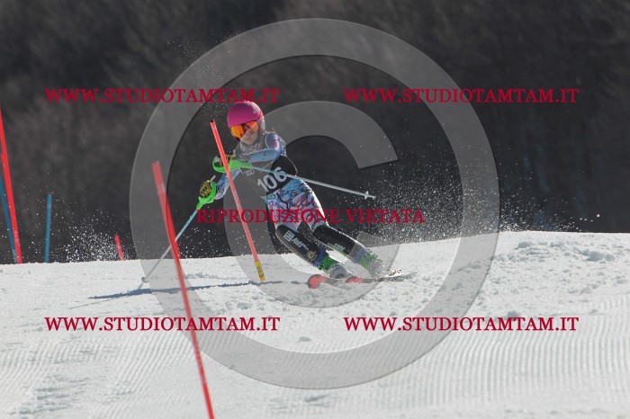 MAT_0427.JPG