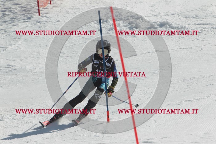MAT_0618.JPG
