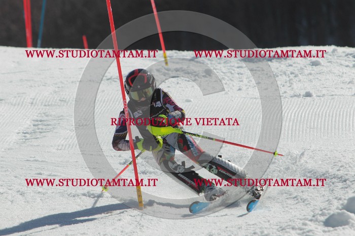 MAT_0694.JPG