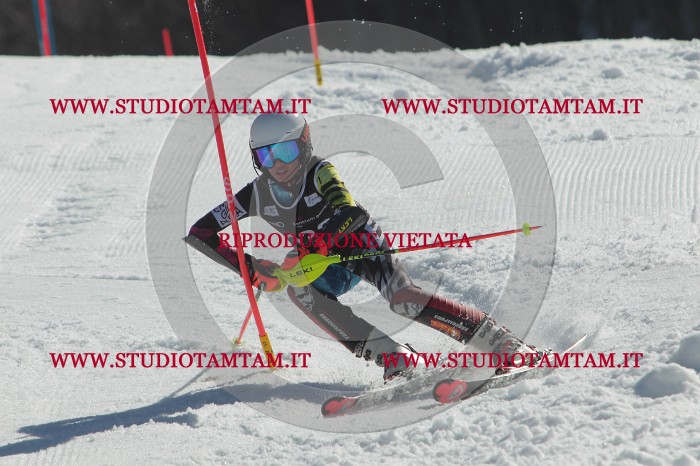MAT_0745.JPG