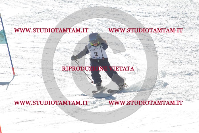 MAT_0770.JPG