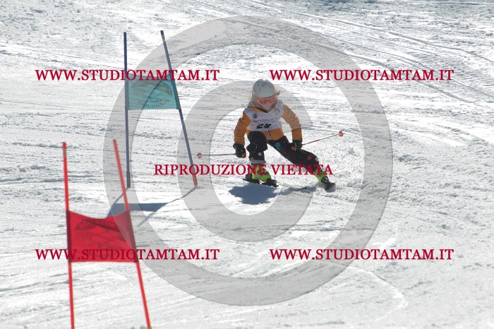 MAT_1092.JPG