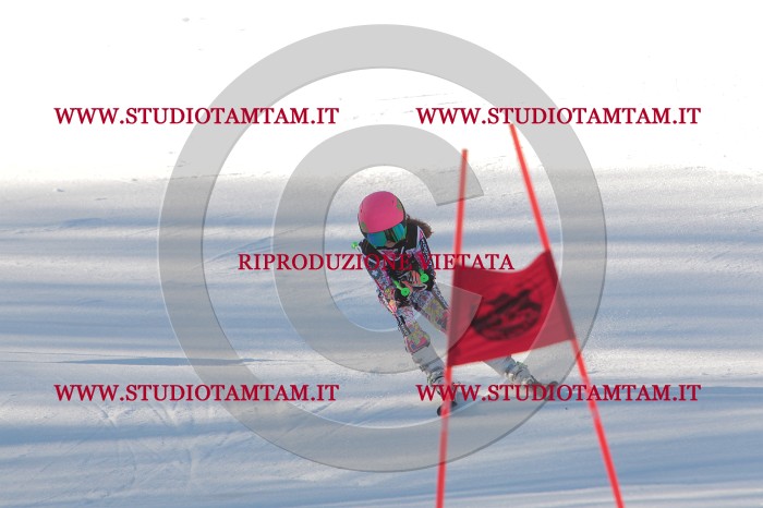 MAT_1467.JPG
