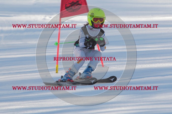 MAT_1491.JPG