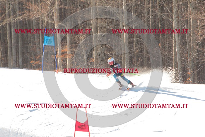 MAT_1497.JPG