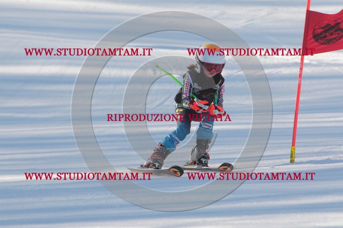 MAT_1503.JPG