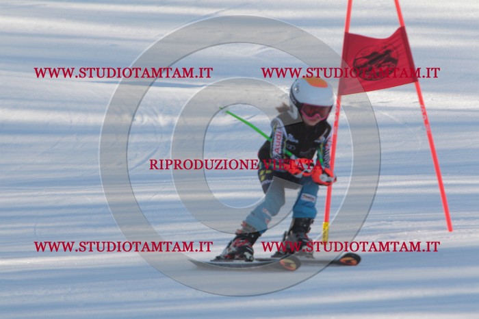 MAT_1504.JPG