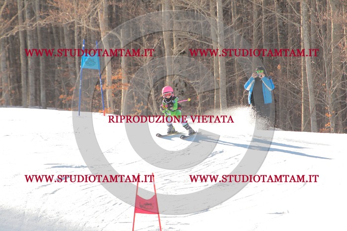 MAT_1508.JPG