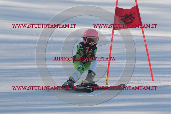 MAT_1516.JPG