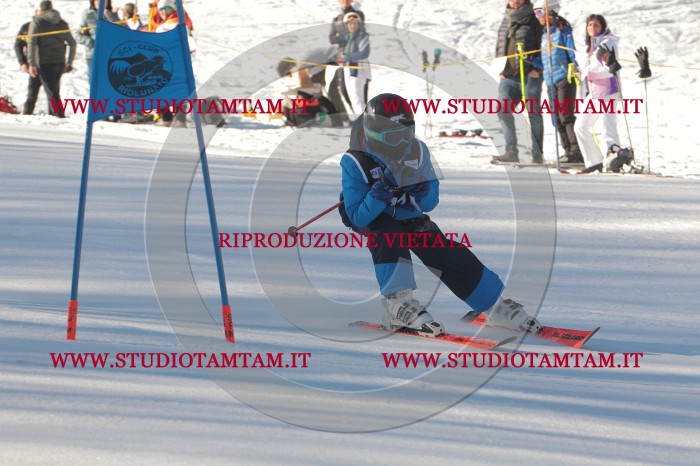 MAT_1546.JPG