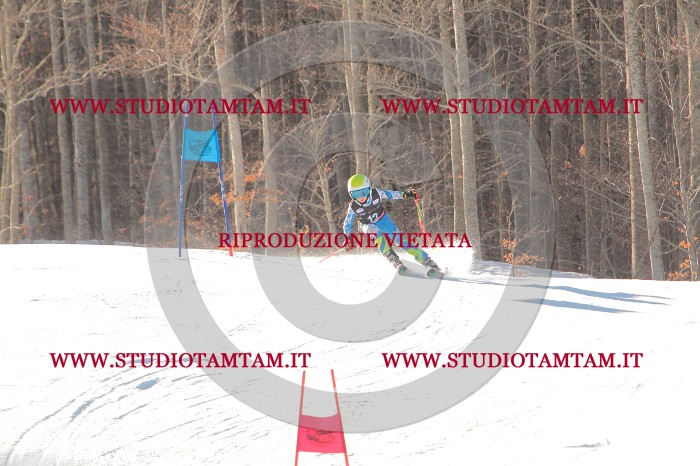 MAT_1547.JPG