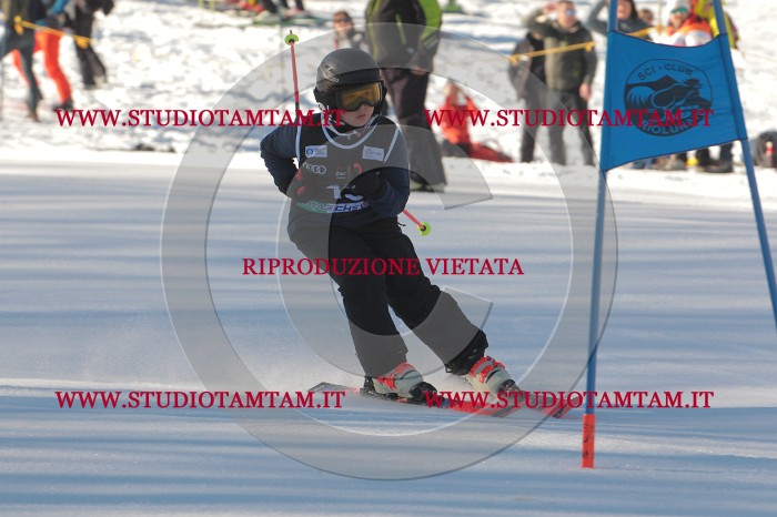 MAT_1567.JPG