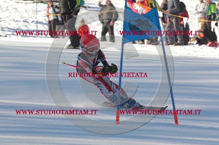 MAT_1589.JPG