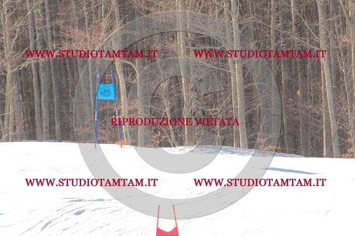 MAT_1591.JPG