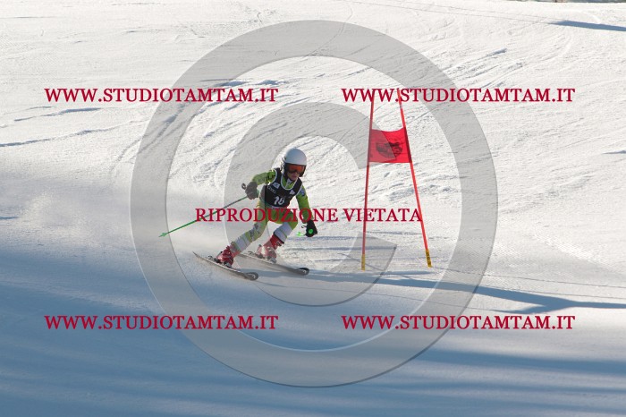MAT_1594.JPG