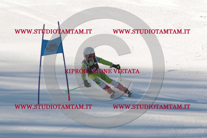MAT_1596.JPG