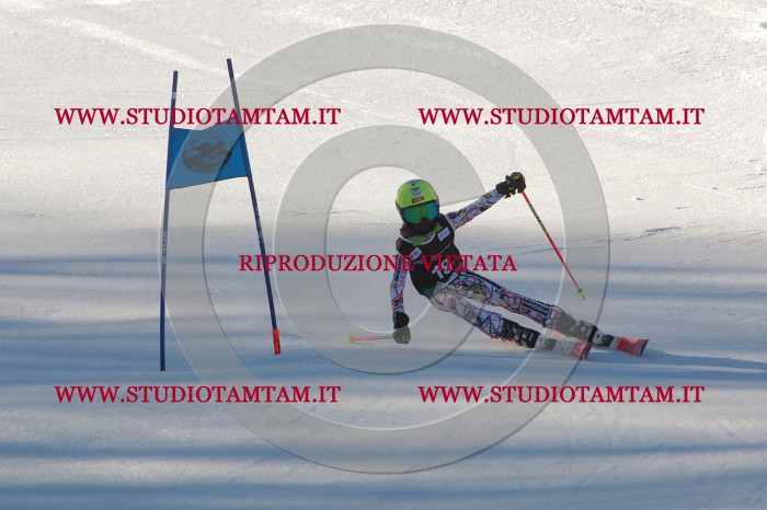 MAT_1619.JPG