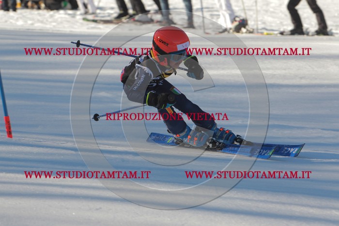 MAT_1650.JPG