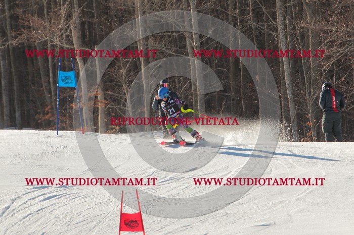 MAT_1652.JPG