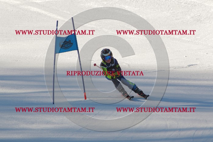 MAT_1679.JPG