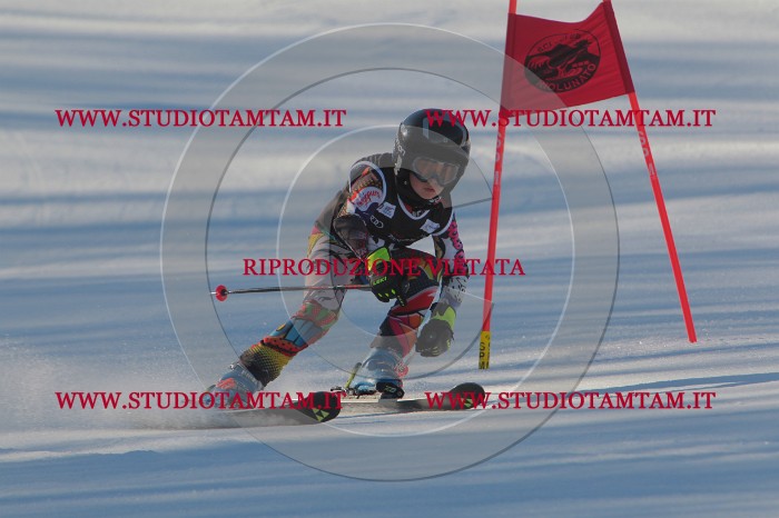 MAT_1701.JPG