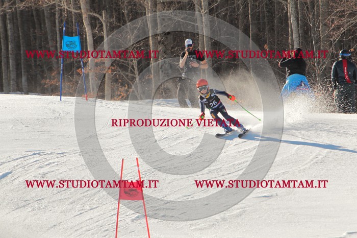 MAT_1705.JPG