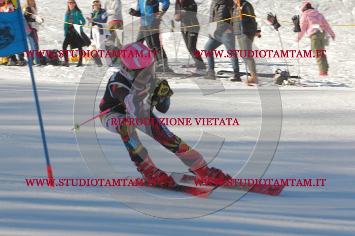 MAT_1733.JPG