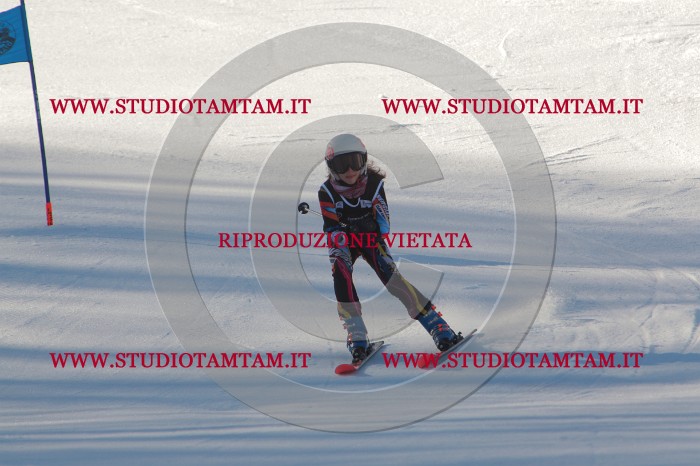 MAT_1761.JPG