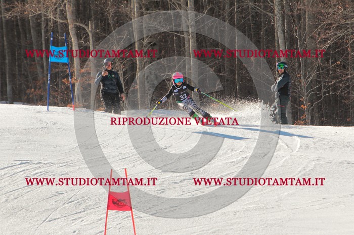 MAT_1768.JPG