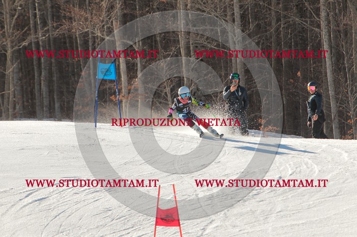 MAT_1847.JPG