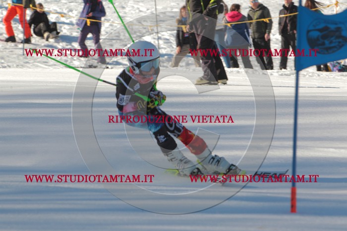 MAT_1855.JPG