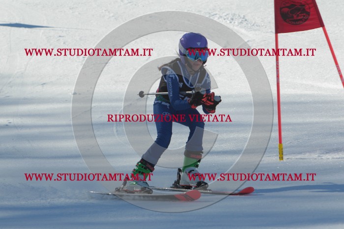 MAT_2008.JPG